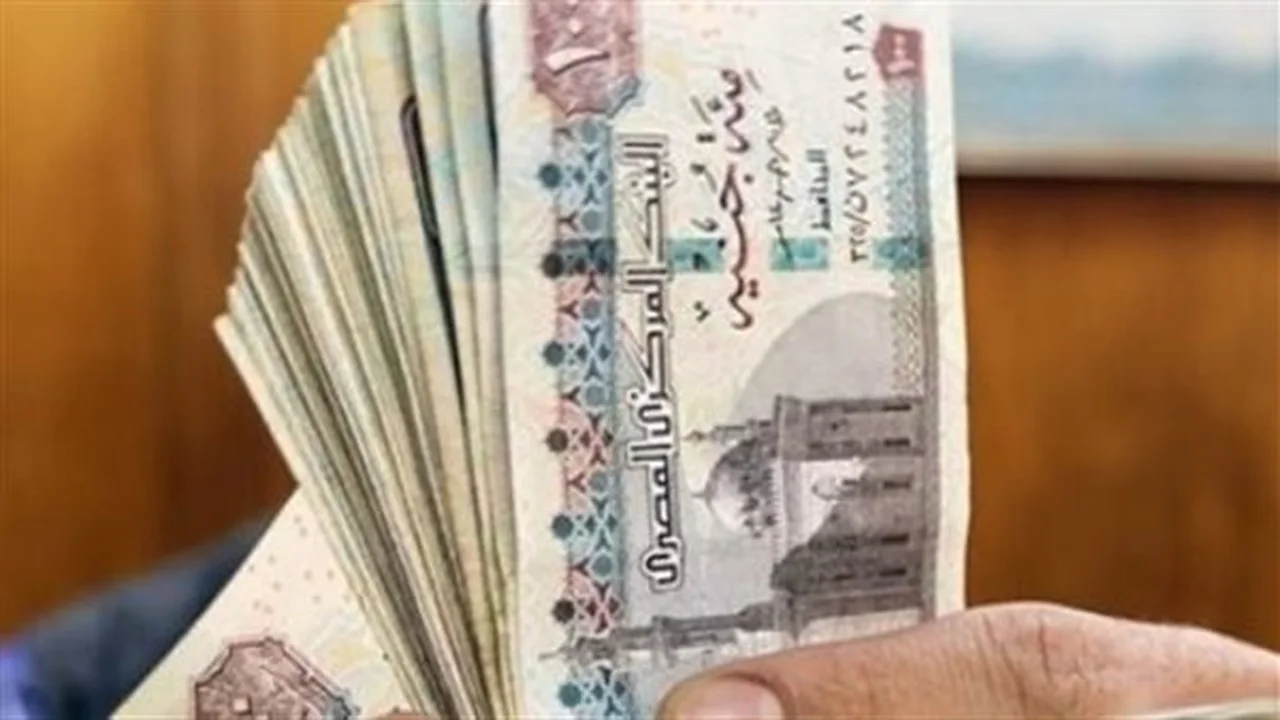 نسب الصرف الجديدة.. تفاصيل حساب تعويض البطالة ومدد الاستحقاق المستحدثة